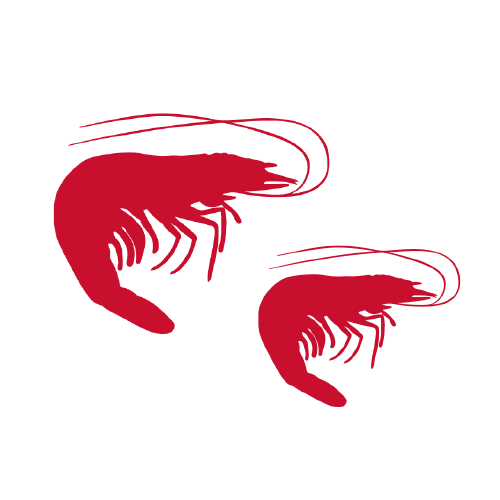 Whiteleg shrimp icon