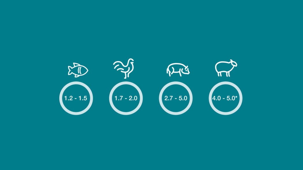 An illustration showing the feed conversion ratio between fish (1.2-.15), chicken (1.7-2.0), pigs (2.7-5.0) and cattle (4.0-5.0)