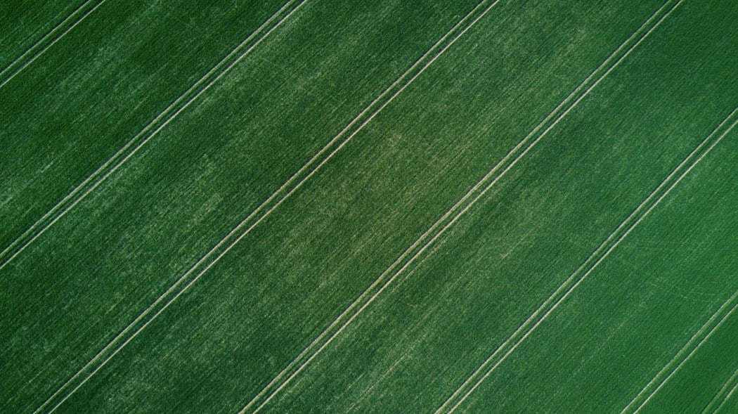 Green field 
