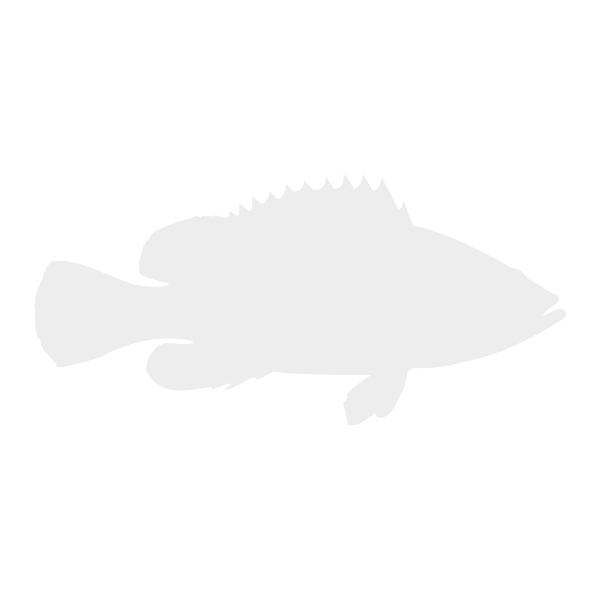 Grouper lifecycle