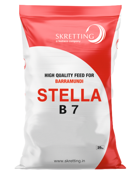 Barramundi feed stella B