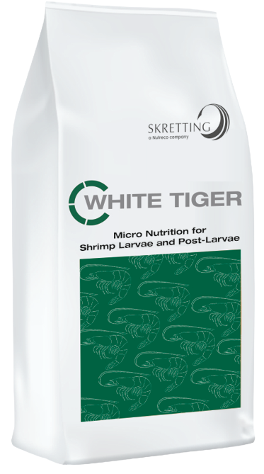 White tiger shrimp feed
