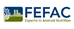 Logo fefac.png