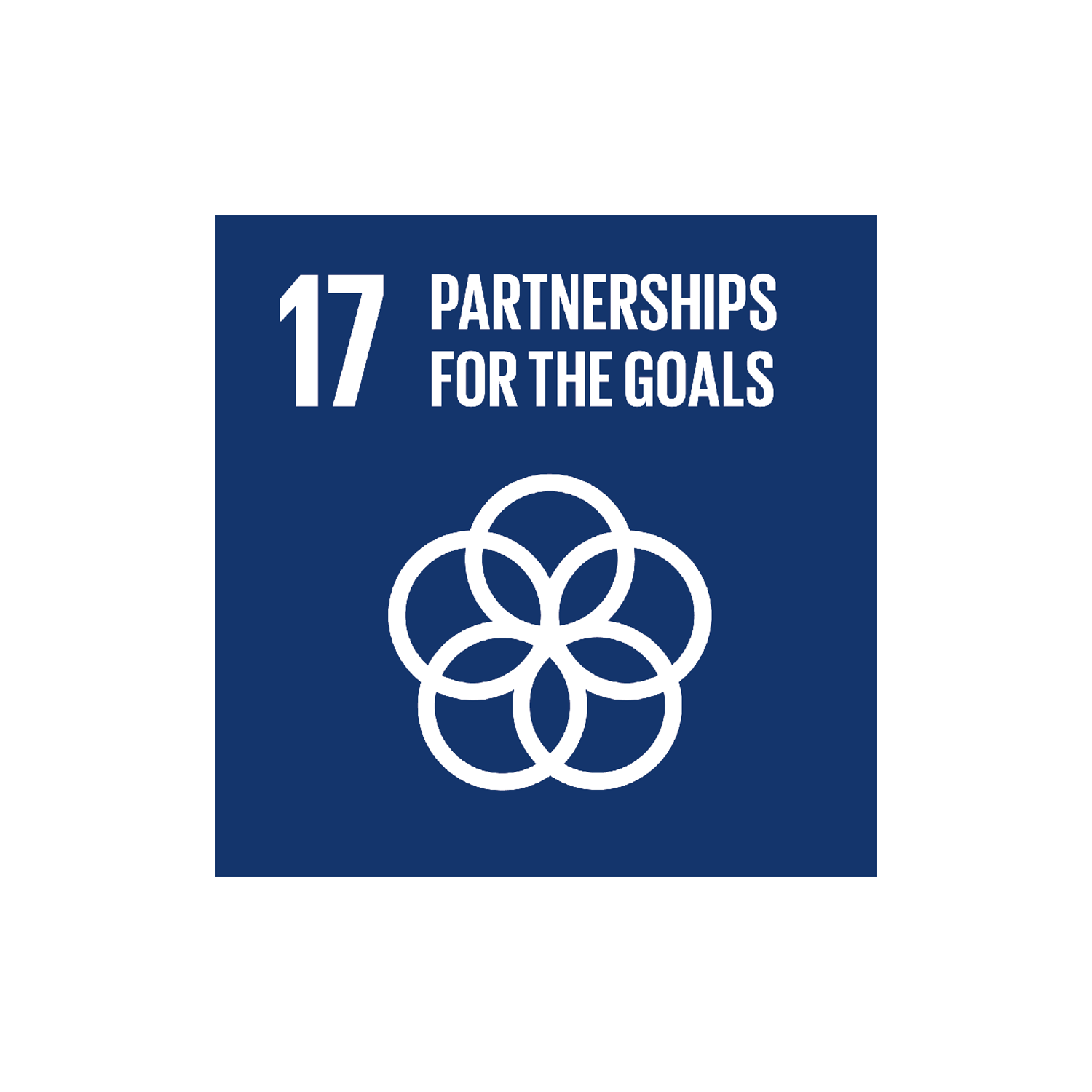 SDG 17: Partnerships for the goals