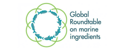 Logo Global roundtable.png