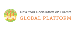 Logo NY Global Platform.png