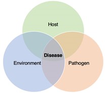 effectively manage disease, three factors