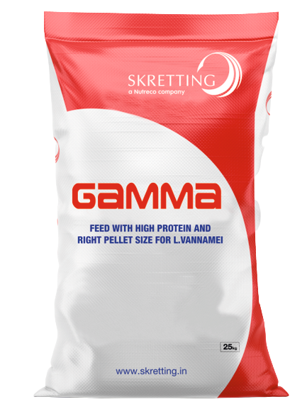 barramundi feed gamma