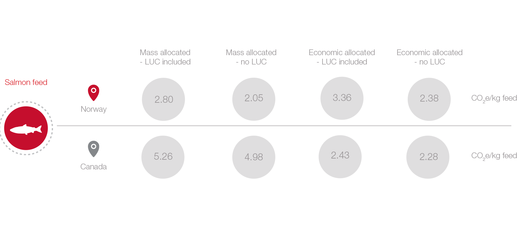 Understanding carbon footprint graphic