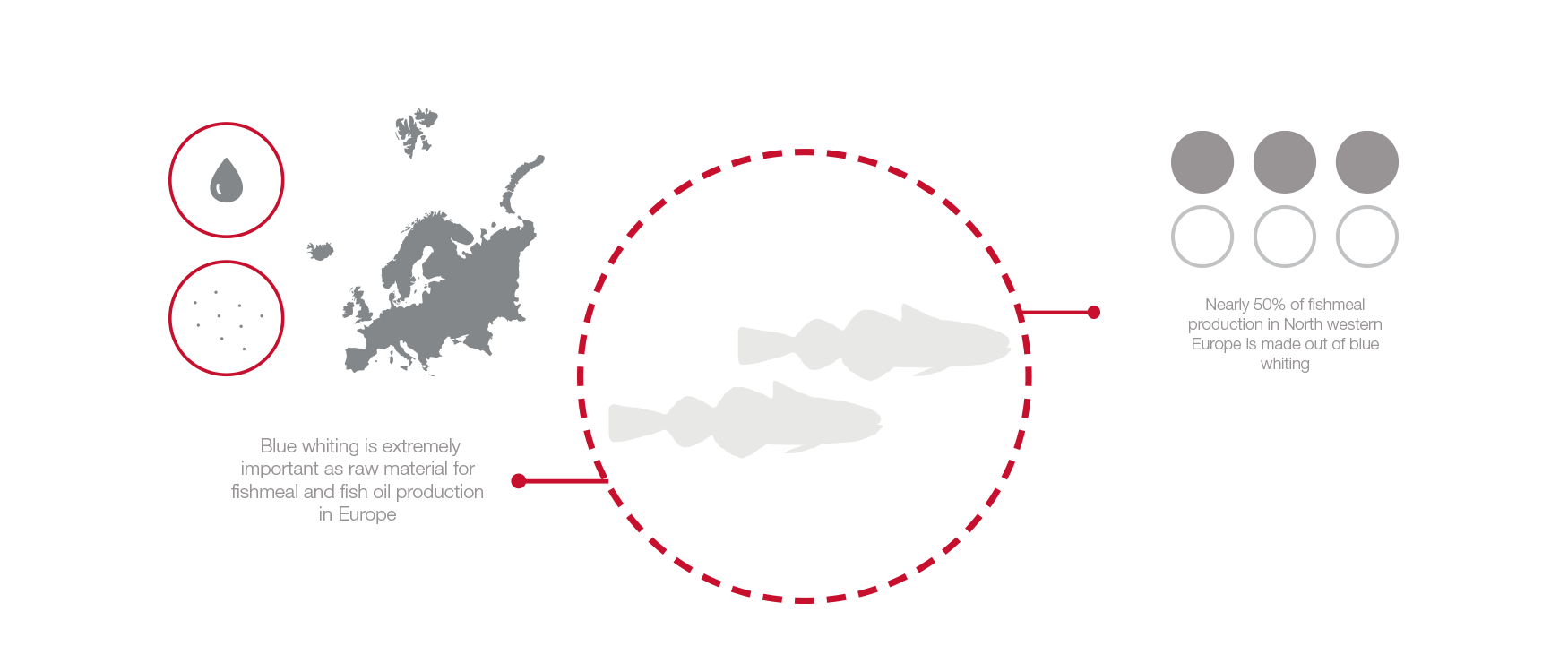 Gráfico Bacaladilla