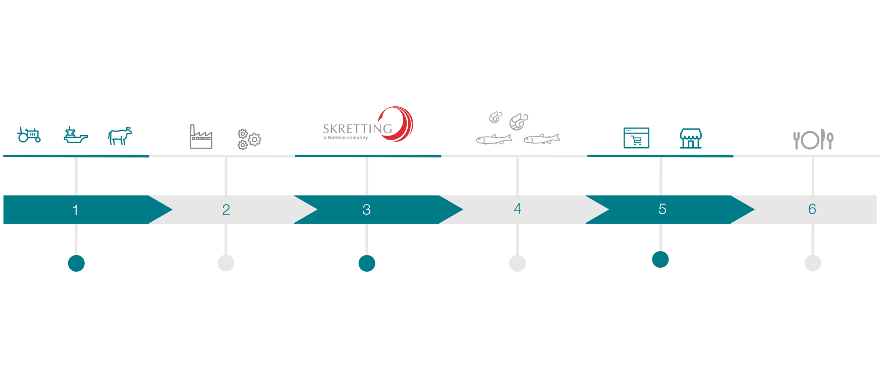 Our operations and role - Skretting