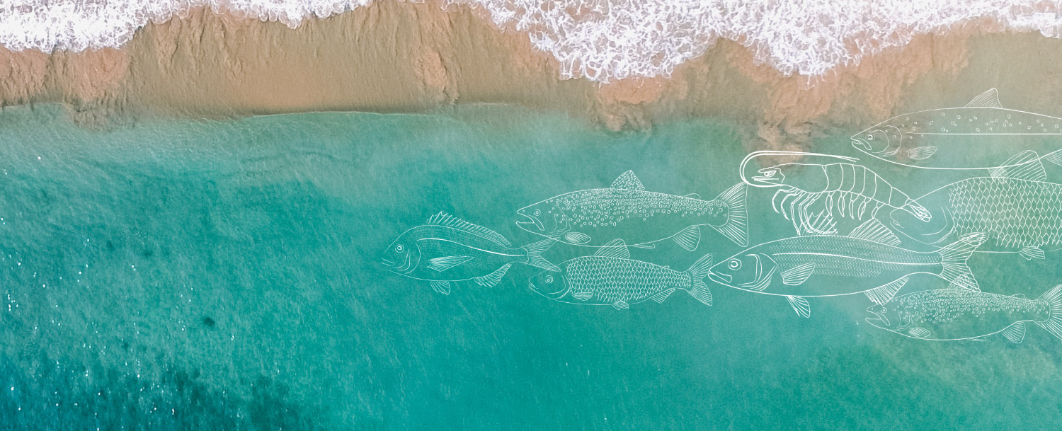 Beach with Skretting fish illustrations overlay