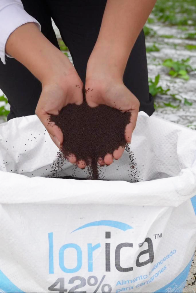 Lorica feed in bag