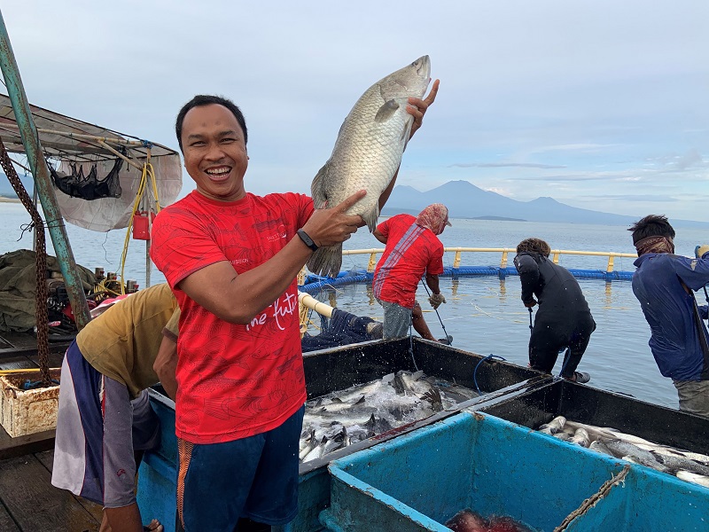 Farmer in Indonesia