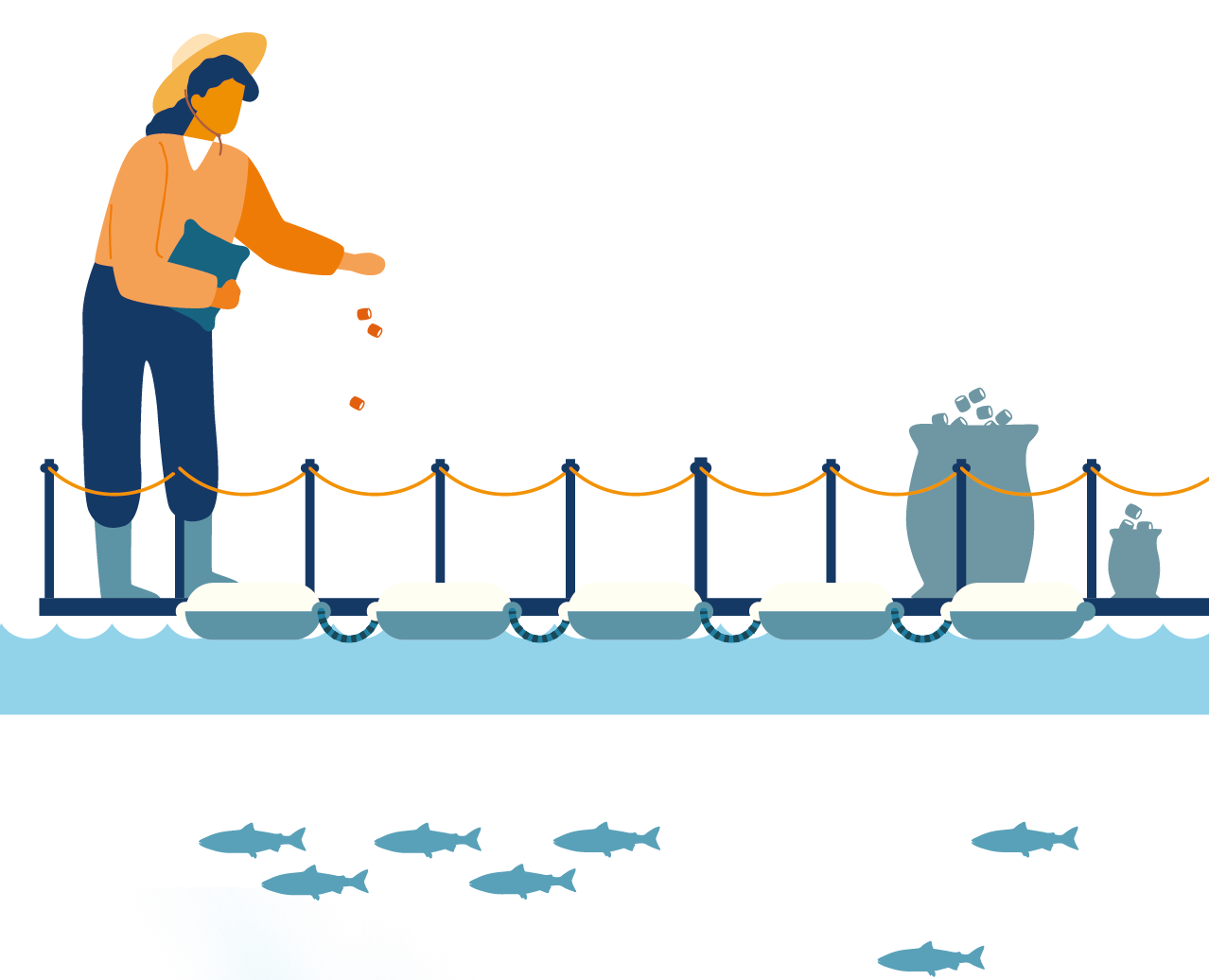 Certified quality illustration