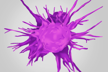A macro microscopic image of a tissue macrophage, coloured purple on a grey background