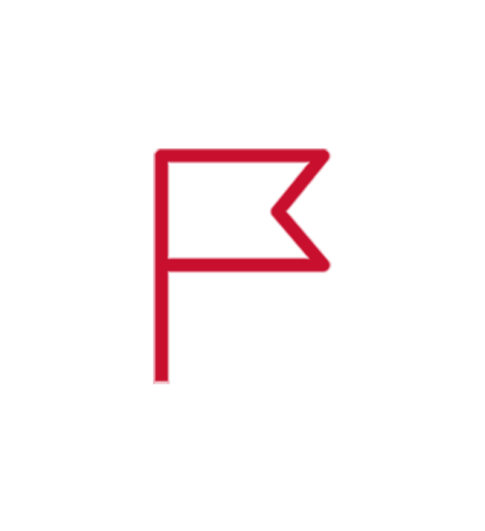 Flag icon