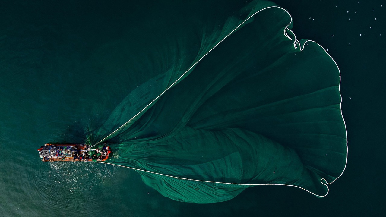 Aerial shot of fishermen