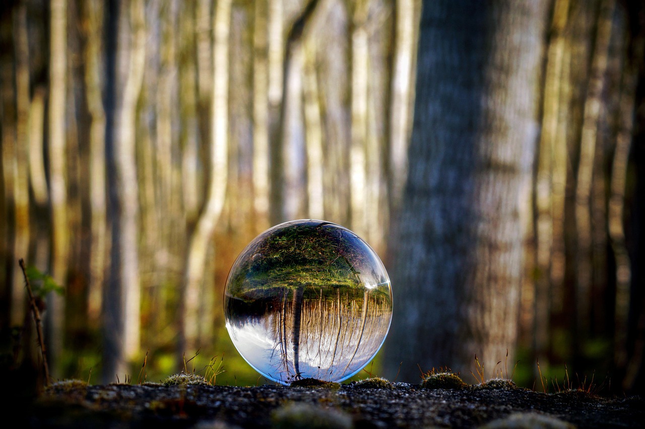 Glass sphere in forest