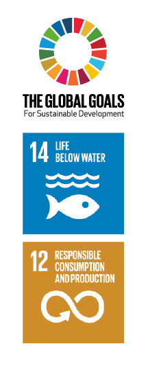 SDG FIP.png