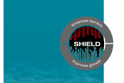 SHIELD graphic