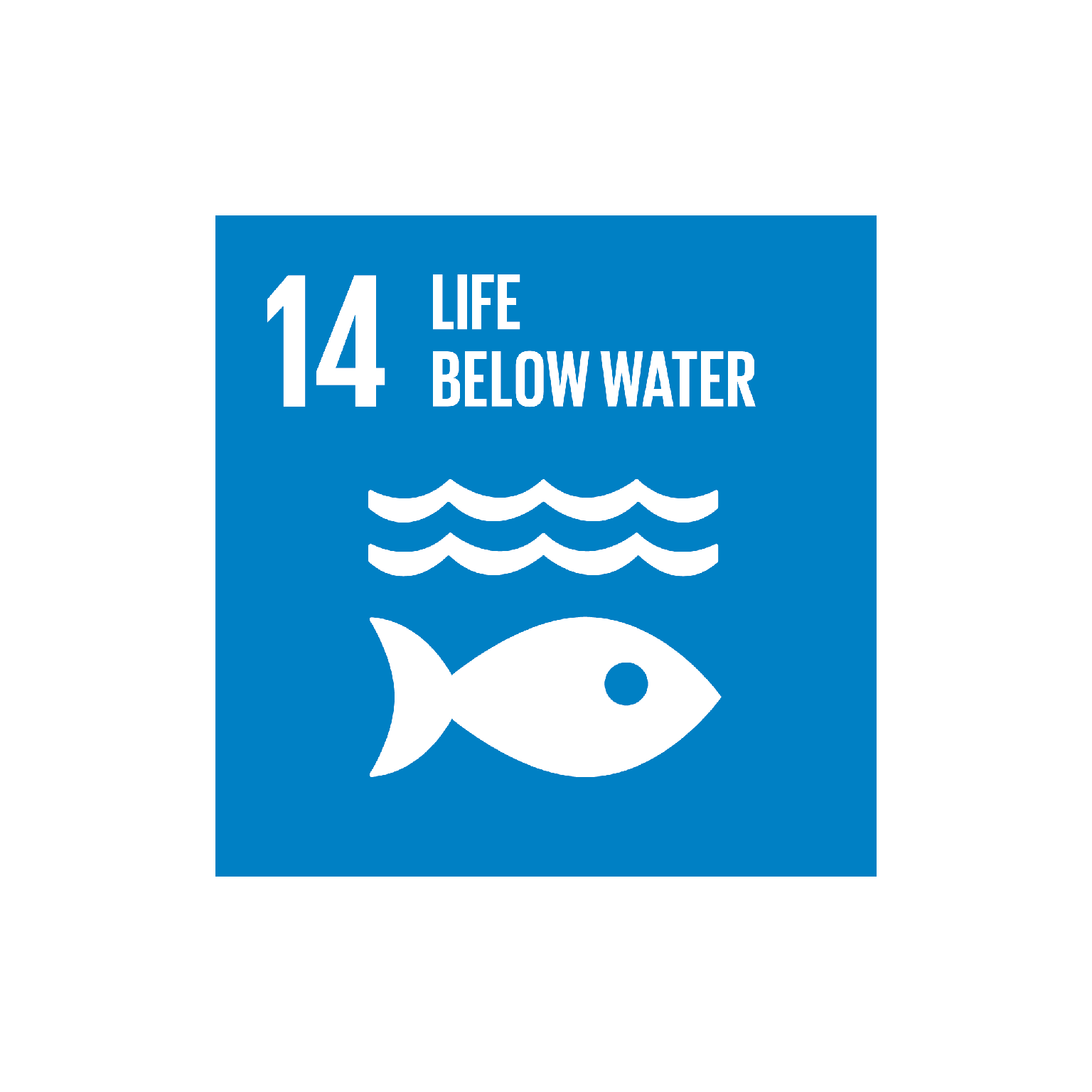 UN SDG 14 icon