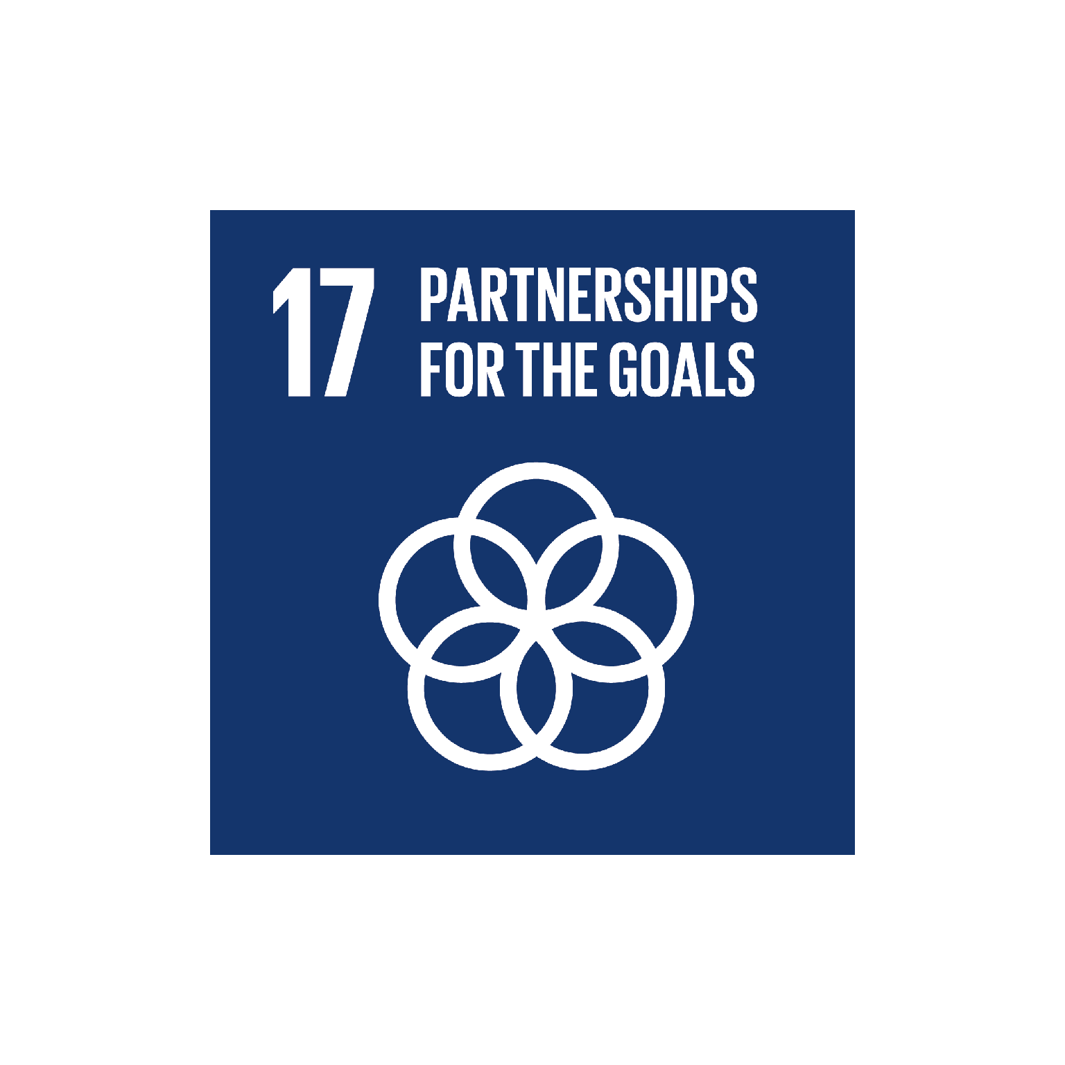 17: Partnerships for the goals