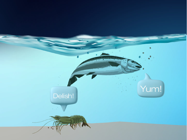 An illustration of a fish and shrimp underwater, saying "yum" and "delish"