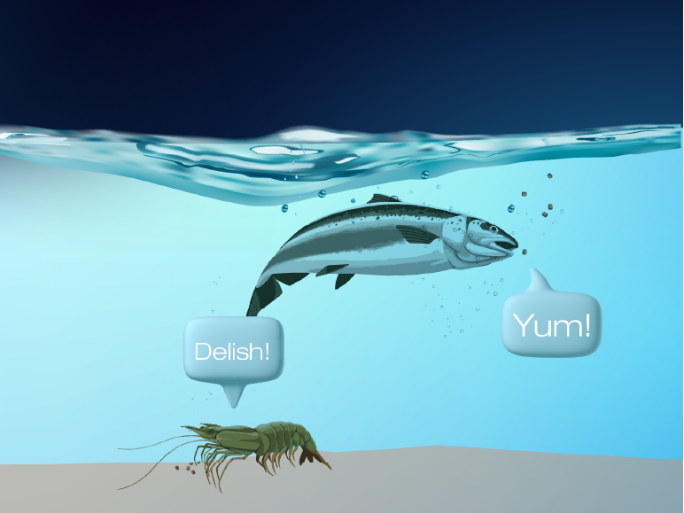 An illustration of a fish and shrimp underwater, saying "yum" and "delish"