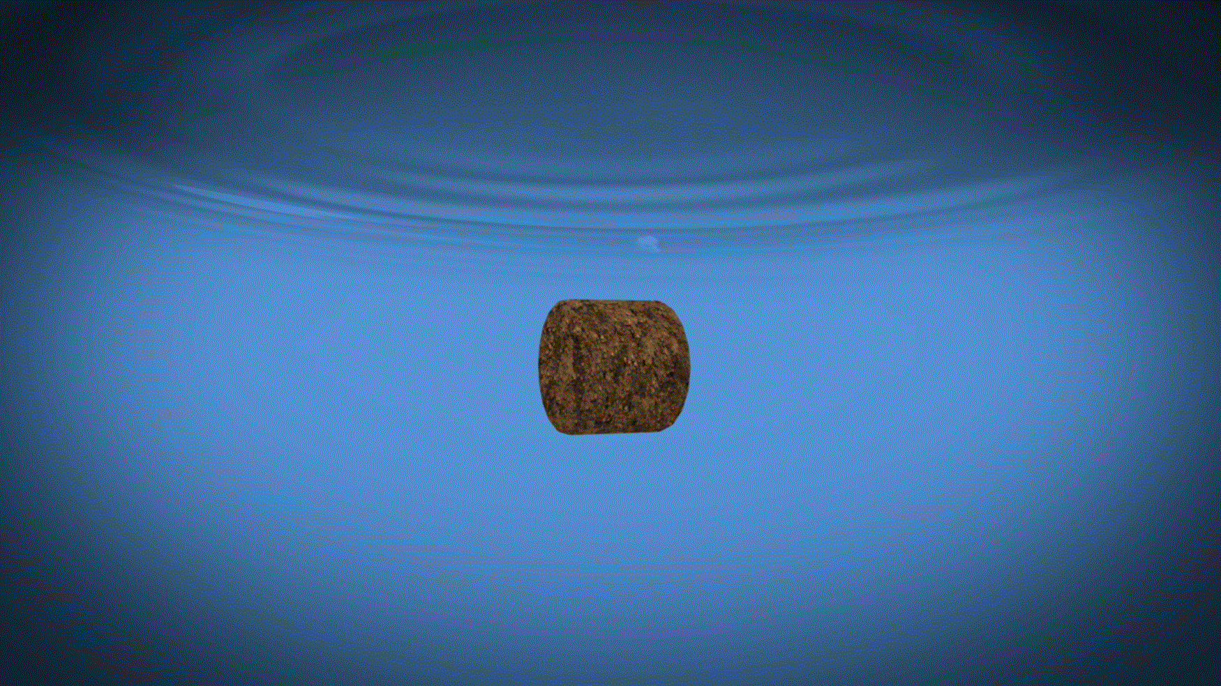 A gif of a feed pellet bobbing just under the water surface