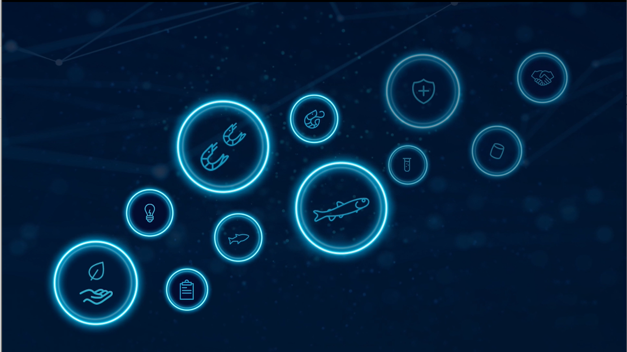 Skretting AI graphic