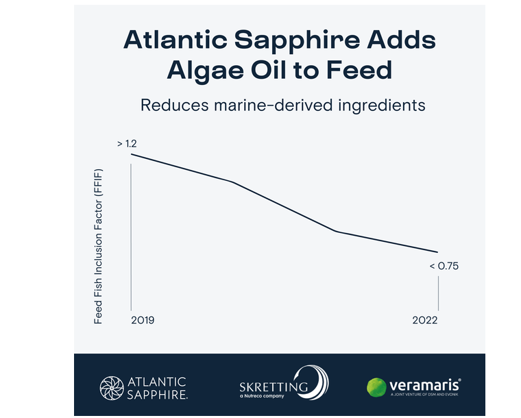 Graph of algal oil usage by Atlantic Sapphire