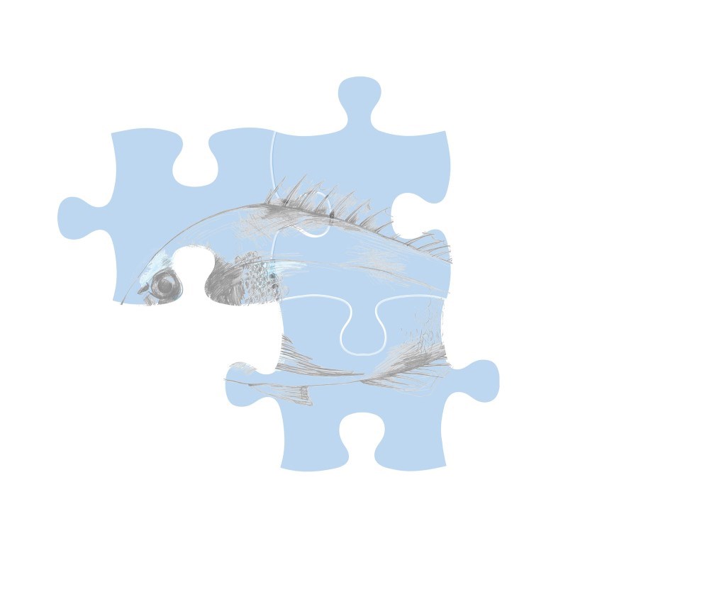 myProtec seabream puzzle illustration