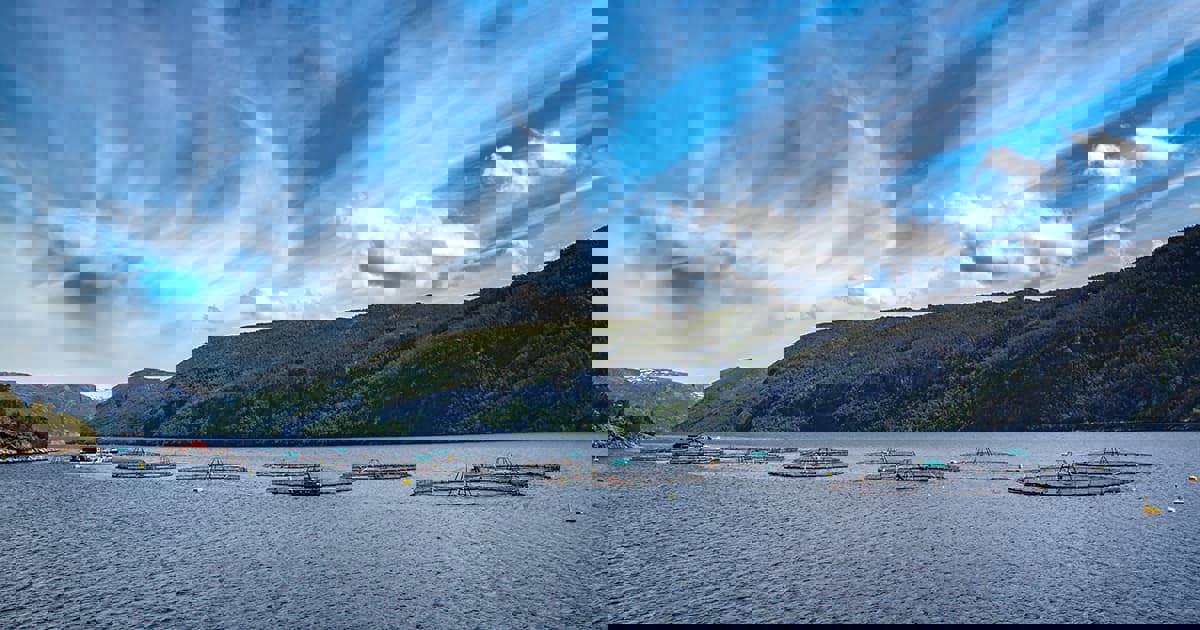 Fish farm in Norwegian fjord