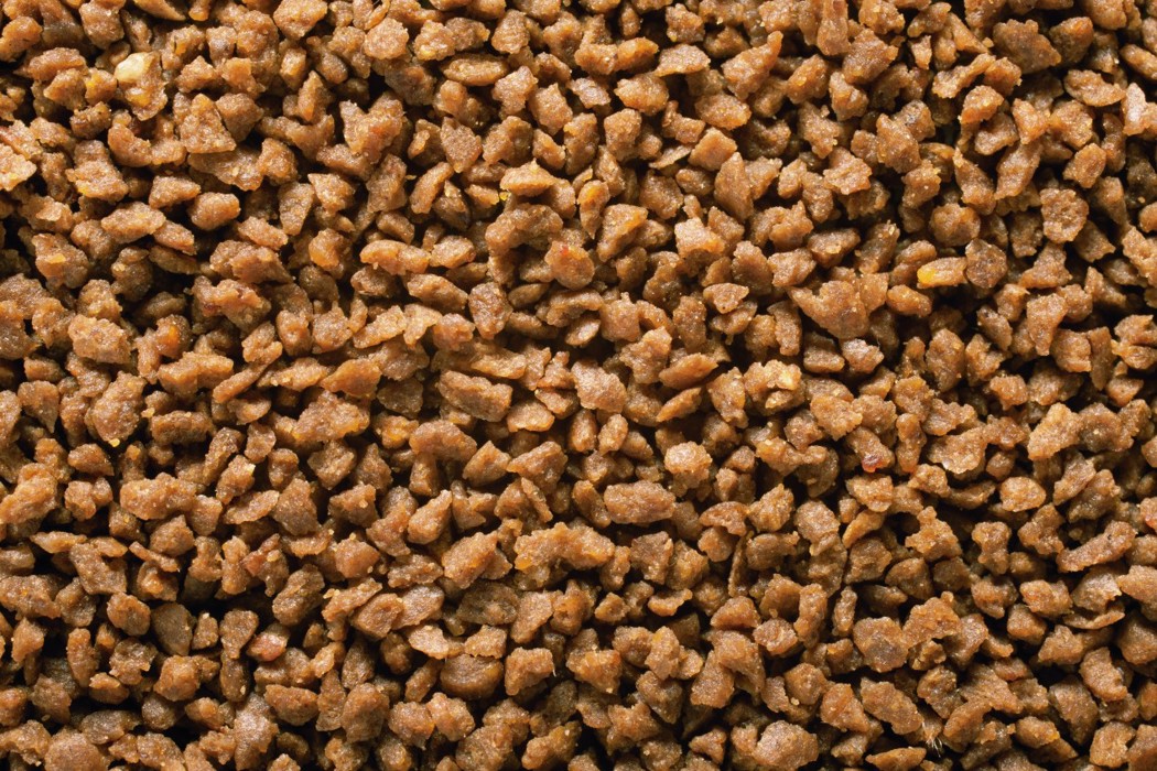 Fish feed pellets up close