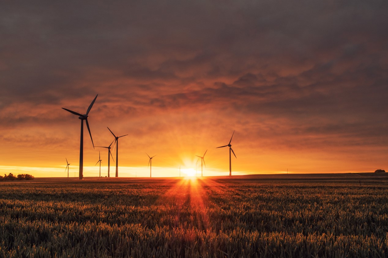 Windmills at sunset