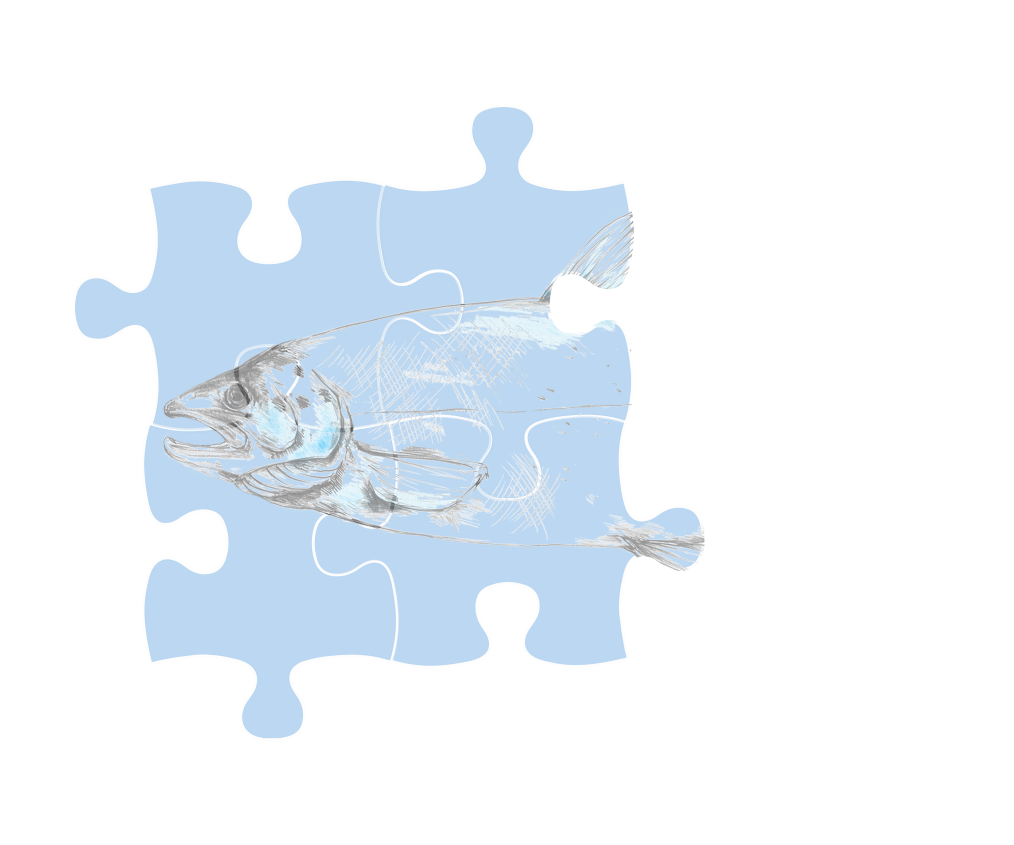 myProtec salmon puzzle illustration