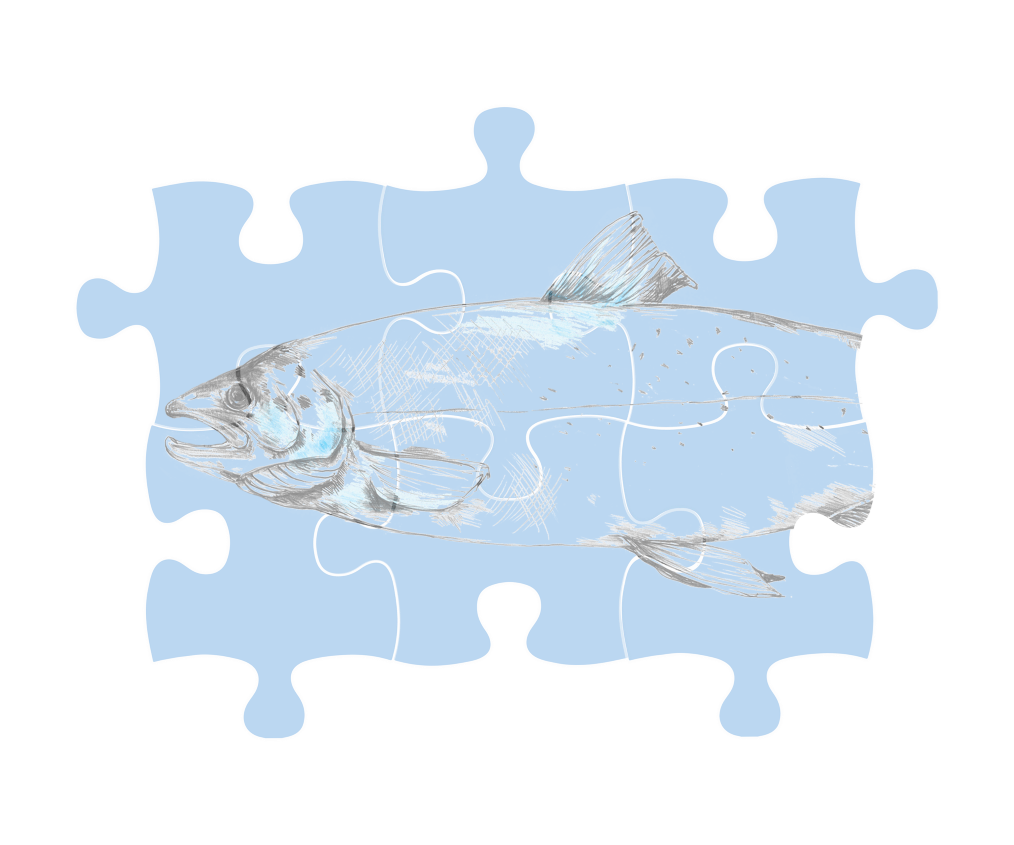 myProtec salmon puzzle illustration