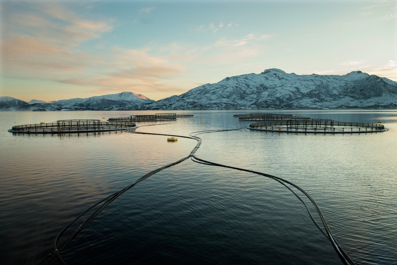 A picture of a salmon farm in the sea with snow capped mountains in the background