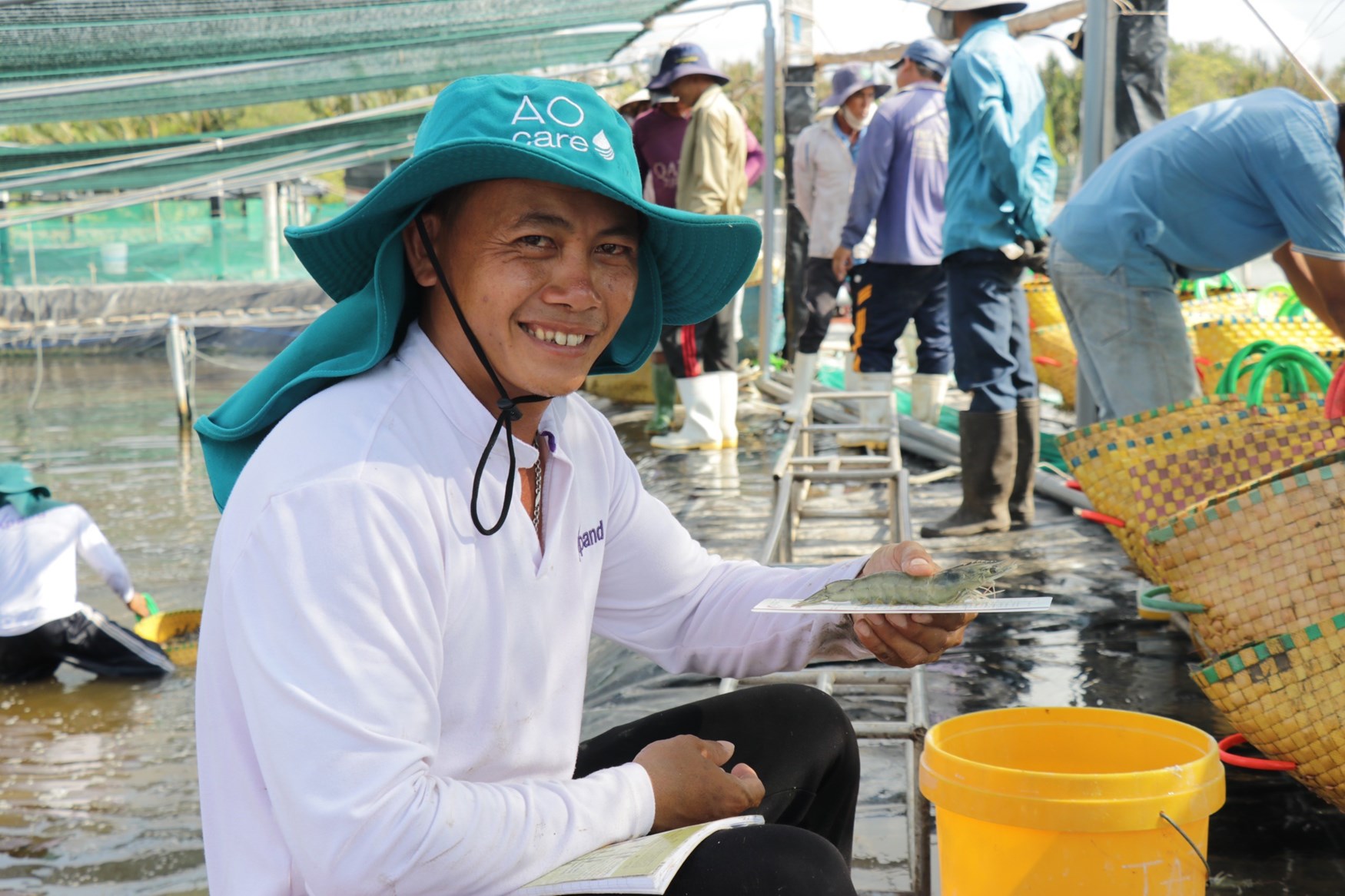 Vietnamese shrimp farmer