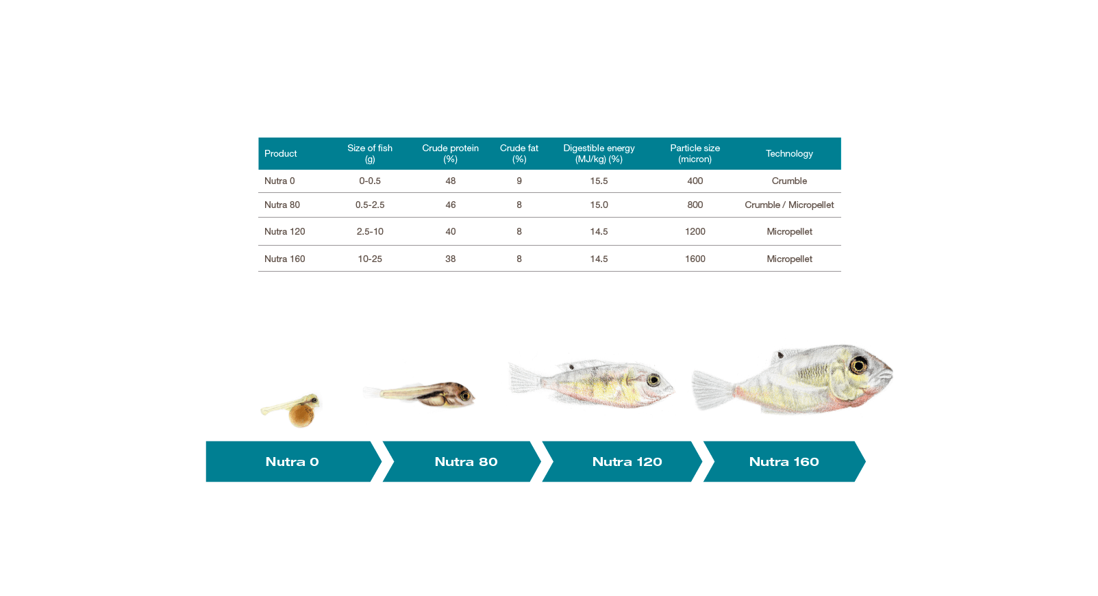 Nutra tilapia feeding recommendations table