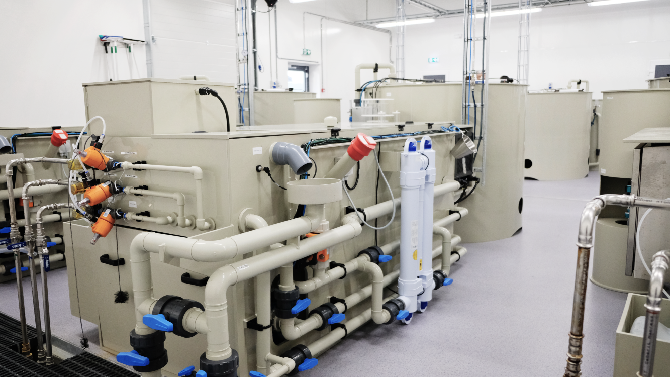 Skretting AI Lerang Research Station RAS research facility