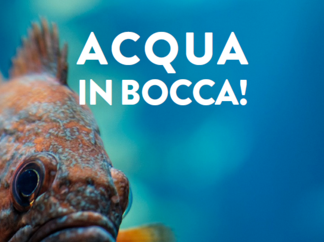 Acqua in Bocca.png