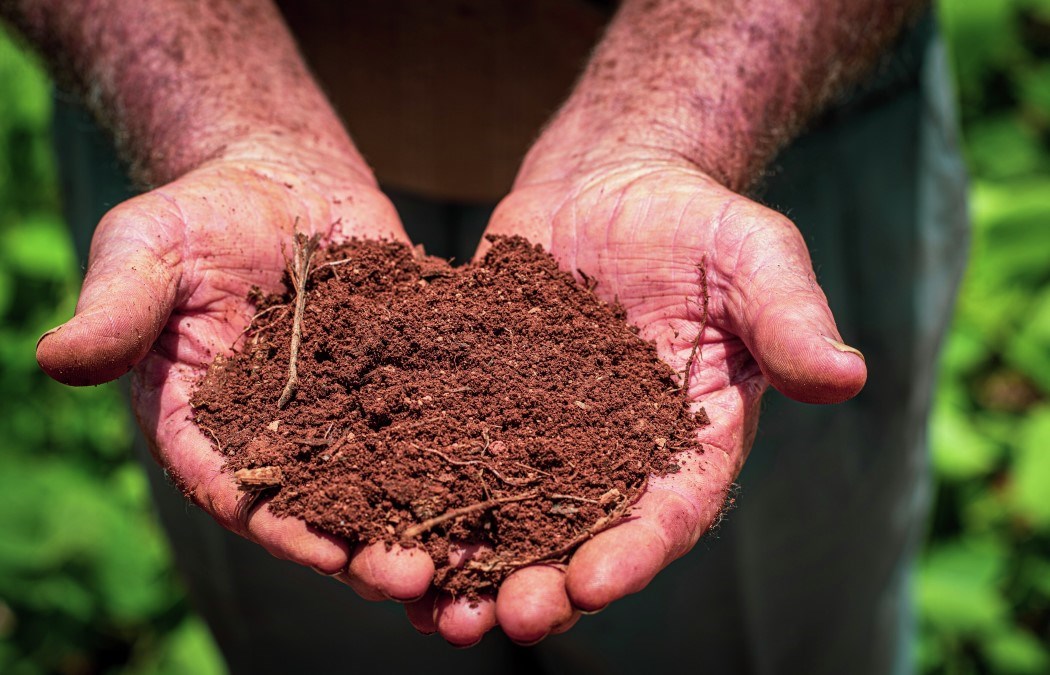 Brazil farmer, soil in hands