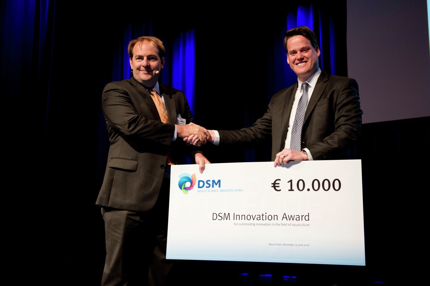DSM innovation award