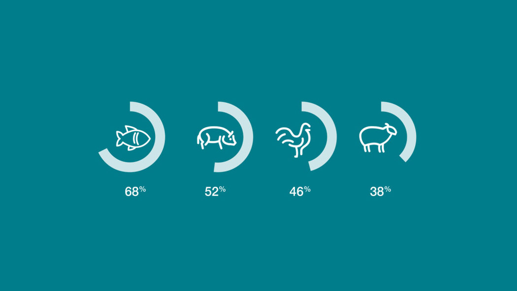 Edible portion of salmon vs land animals graphic