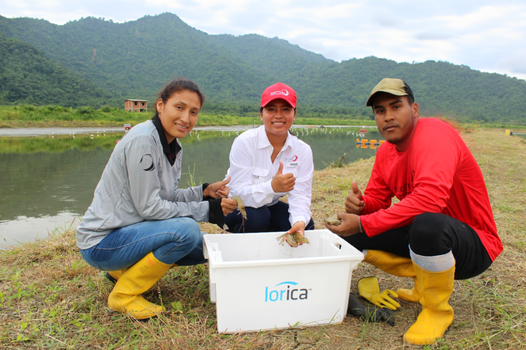 Farmers with Lorica fed shrimp