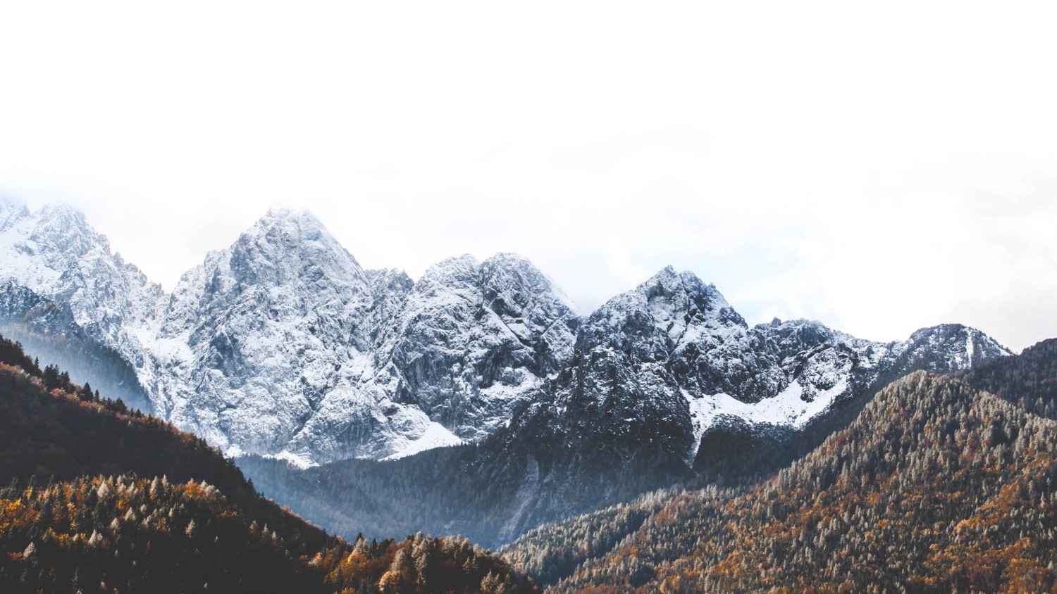 Feed X visual of mountains