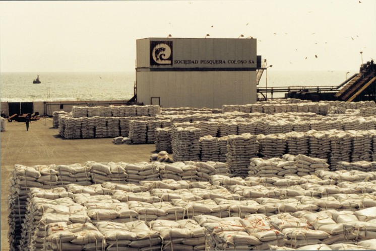 Fish meal production plant