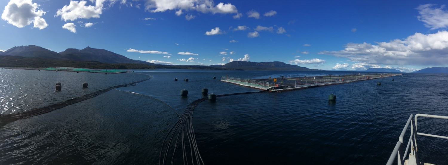 Chilean salmon farm 